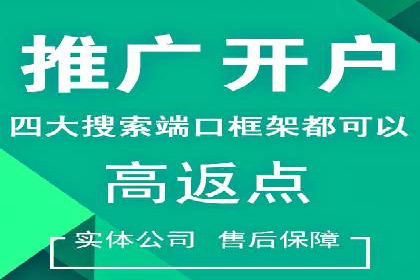 百度推广活动策划，实战案例展示